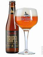 Ter Dolen - Tripel - Belgisk øl