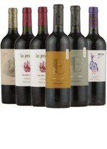 Argentina Smagekasse - Malbec vine fra Vinhuset Las Perdices - 6 flasker