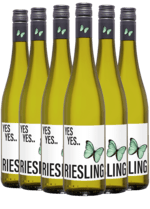 YES YES Riesling Halbtrocken Rheinhessen 2023 - Kassekøb 6 flasker