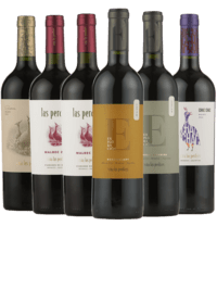Argentina Smagekasse - Malbec vine fra Vinhuset Las Perdices - 6 flasker