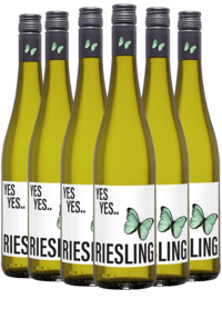 YES YES Riesling Halbtrocken Rheinhessen 2023 - Kassekøb 6 flasker