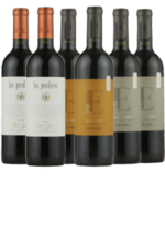 Argentinsk smagekasse - TOPVINE fra vinhuset Las Perdices - 6 Flasker